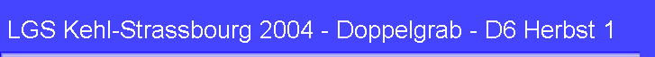 LGS Kehl-Strassbourg 2004 - Doppelgrab - D6 Herbst 1
