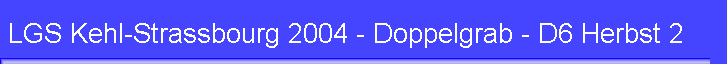 LGS Kehl-Strassbourg 2004 - Doppelgrab - D6 Herbst 2