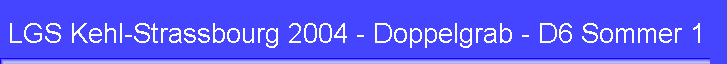 LGS Kehl-Strassbourg 2004 - Doppelgrab - D6 Sommer 1